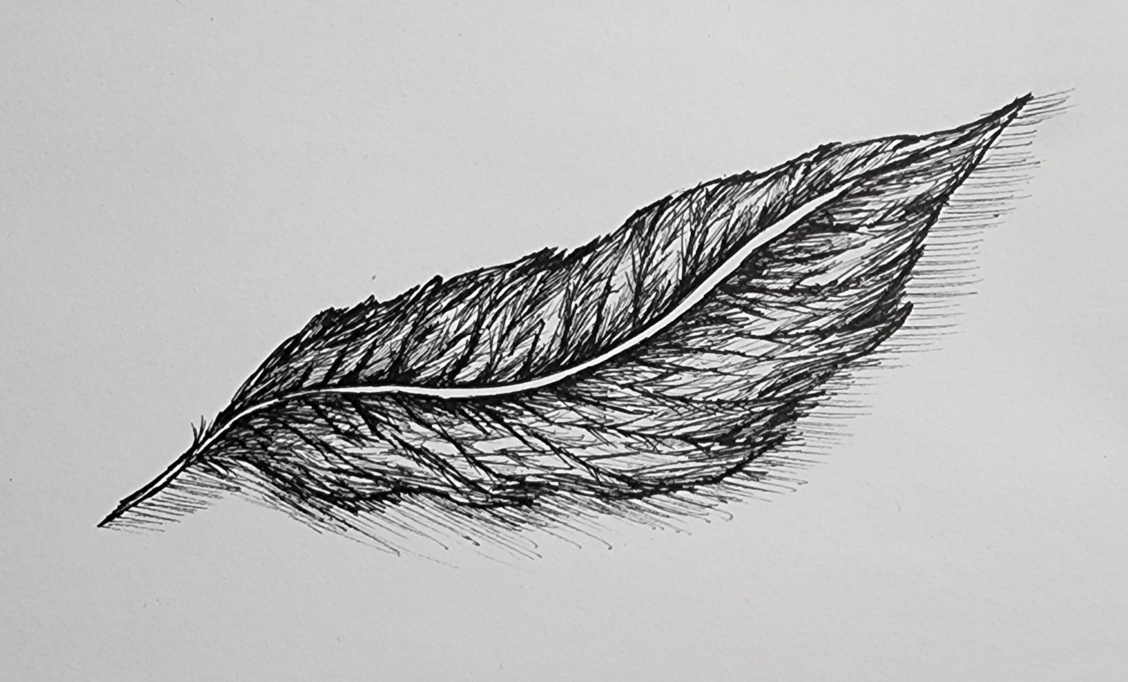 Sketchy Business LLC Logo